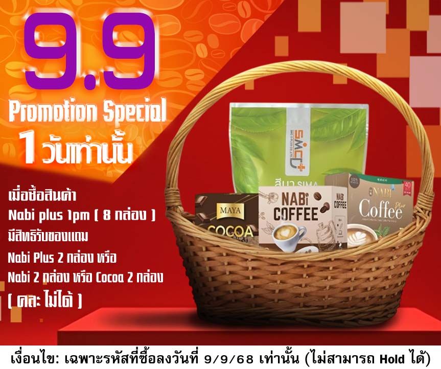 โปรโมชั่น 9.9 Promotion Special 1 วันเท่านั้น